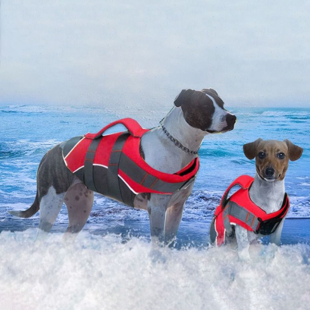 Colete Salva-Vidas Refletivo p - Life Jacket Buoyancy avaliação e preço